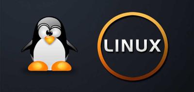 Linux目录结构